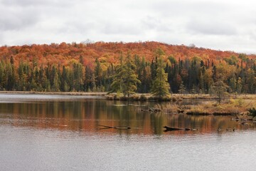 lake view fall colors in Algonquin Park