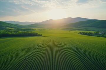 Naklejka premium Serene Vista of Verdant Fields and Rolling Hills at Sunset Capturing the Essence of Rural Tranquility and Agricultural Beauty