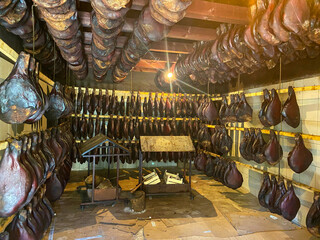 Traditional ham drying room with numerous pork legs hanging from the ceiling. Aged jamón curing process in a specialized facility. Authentic Spanish delicacy production.