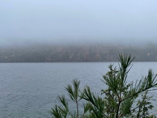 fog on the lake
