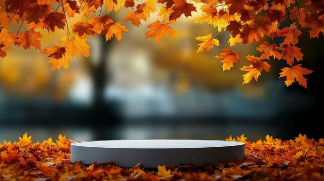 Autumn Leaves Displaying Empty Round Stage