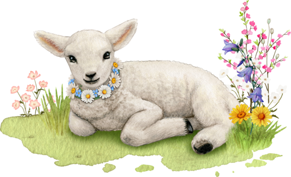 Watercolor realistic cute farm lamb