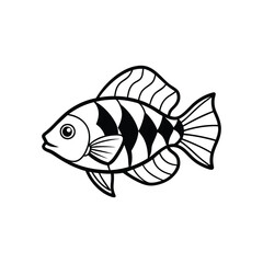 Jewel Cichlid Fish on White Background – Colorful Freshwater Aquarium Fish