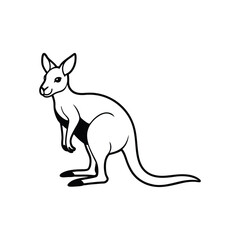 Kangaroo on White Background – Australian Wildlife Animal in Isolated View
