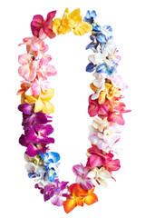 Isolated Lei Made of Colorful Flowers