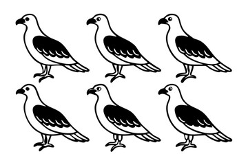 Elegant Osprey Vector Design