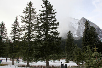 nature in Banff National Park, Alberta, Canada, North America