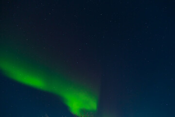 Northern Lights or Aurora Borealis on a winter night. Vibrant  colors shimmer in the starry sky.