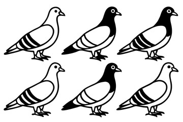 Elegant Pigeon Outline Design