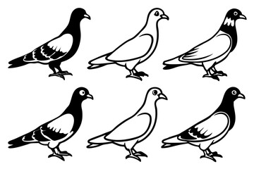 Elegant Pigeon Outline Design