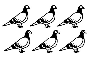 Elegant Pigeon Outline Design