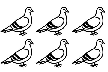 Elegant Pigeon Outline Design