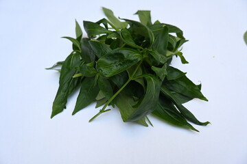 Andrographis paniculata leaves. Its other name 
creat or green chireta. Its has been traditionally used to treat infections and some diseases. Mostly the leaves and roots is used for medicinal purpose