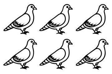 Elegant Pigeon Outline Design