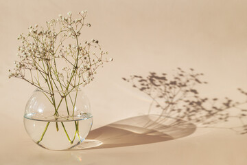 Round vase with gypsophila flowers with shadow on mocha mousse background.