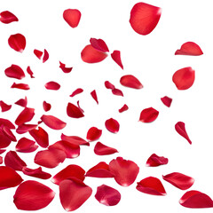 Bright red rose petals isolated on transparent background