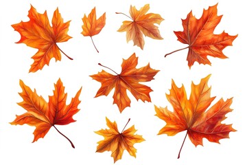 Fototapeta premium Autumn's Embrace: Vibrant Orange Maple Leaves Dancing in a Gentle Fall, Cascading Downward in a Breathtaking Display of Nature's Beauty, Perfect for Autumnal Designs, Seasonal Decorations, and 