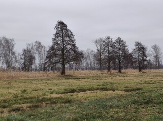 Obraz premium Biosphärenreservat Spreewald im Februar 