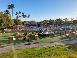 Party time on the lawn