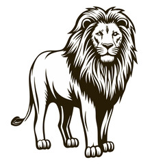 Fototapeta premium Muscular lion walking on savanna grasslands, strong big cat with regal mane, powerful wild animal, African wildlife, symbol of strength and leadership