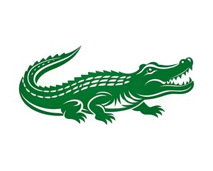 crocodile white background