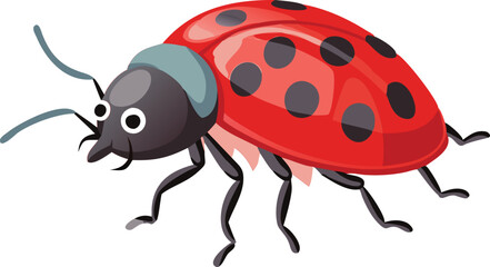 Fototapeta premium ladybug insect cartoon vector illustration 
