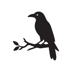 Bird's black silhouettes. bird silhouettes. isolated on white background.