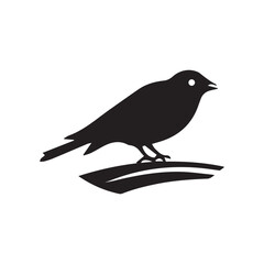 Bird's black silhouettes. bird silhouettes. isolated on white background.