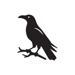 Bird's black silhouettes. bird silhouettes. isolated on white background.