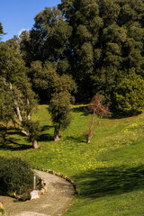 old stone bridge in the forest / old stone bridge