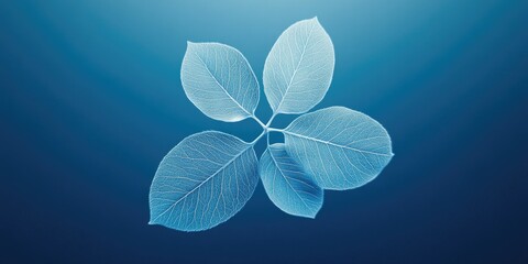 A delicate leaf pattern formed with water droplets on a frost-covered surface. This could be used for decorative purposes or in designs related to nature and the beauty of winter.