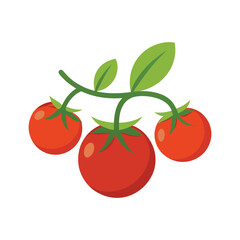 cherry tomatoes isolated on white