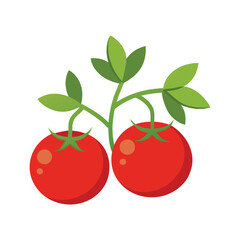 cherry tomatoes isolated on white