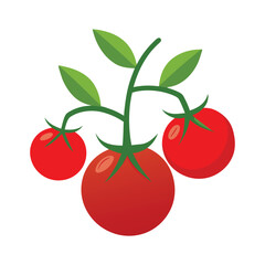 cherry tomatoes isolated on white