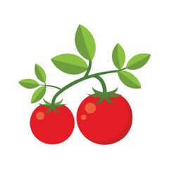 cherry tomatoes isolated on white