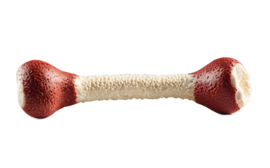 A squeaky dog toy shaped like a bone, isolated on a empty plain background