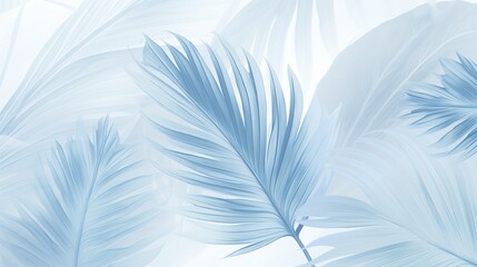 white feathers on blue background