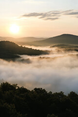 Illustration of a misty mountain range at dawn, with the soft light of the rising sun breaking through the fog. The peaceful, ethereal scene captures the beauty and serenity of the natural world.
