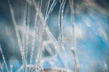 Early morning light casts a magical glow on frost-dusted grass beside a tranquil lake, creating a serene backdrop of shimmering beauty in the crisp winter air