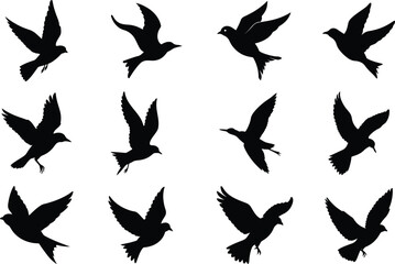 Collection on flying bird silhouette vector on white background