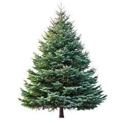 Fototapeta premium [Transparent Background PNG]Winter Christmas Tree Isolated on White Background