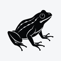 a black and white illustration of a frog vector.