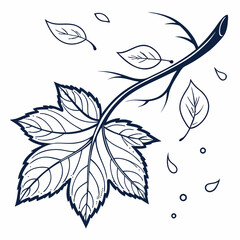 black and white background