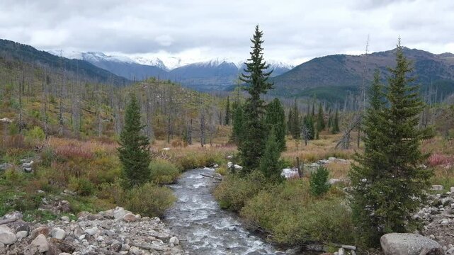 River in the Altai Mountains in the colorful autumn period in the East Kazakhstan region in Katon-Karagay against the backdrop of snowy peaks