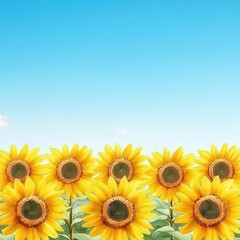 Obraz premium Vibrant sunflowers blooming against a clear blue sky.