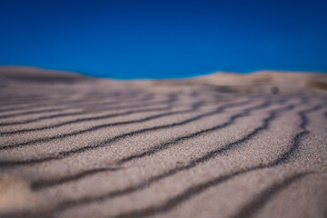 Sand on the dune, Słowiński Park Narodowy, Poland