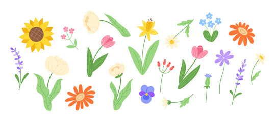 Set of spring flowers in a flat style isolated on a white background, including daisies, peonies, daffodils, tulips, roses, gerberas, sunflowers, violets, poppies, lavender, and other wildflowers