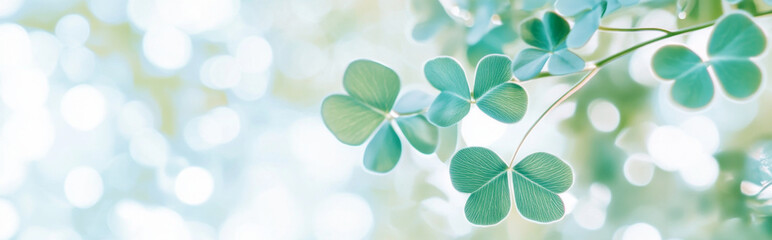 Obraz premium Green clover leaves with soft bokeh background for St. Patricks Day postcard