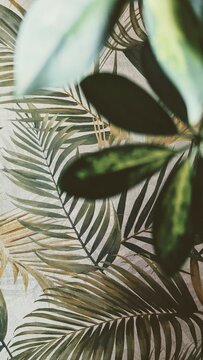Leafs palms background 