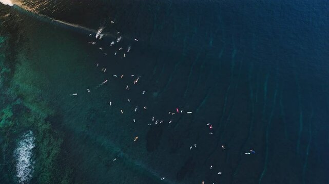 Surfers swim on line up and riding on waves in ocean. Aerial view with surfing on wave.